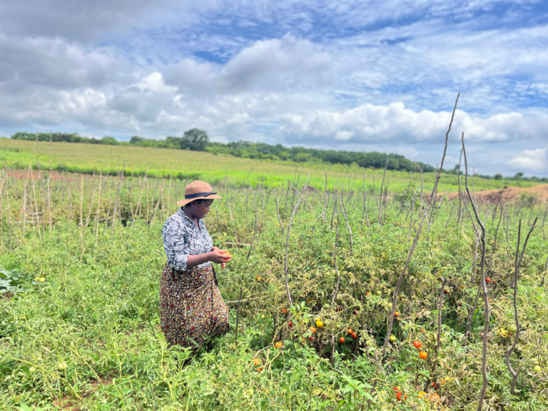 Advancing Sustainable entrepreneurship and Livelihoods Development (ASELD)