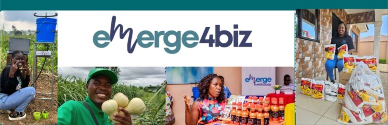 Emerge4Biz